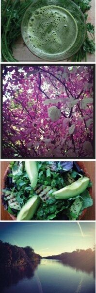 Detox Day & Night