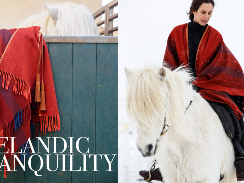 Iceland on Horseback