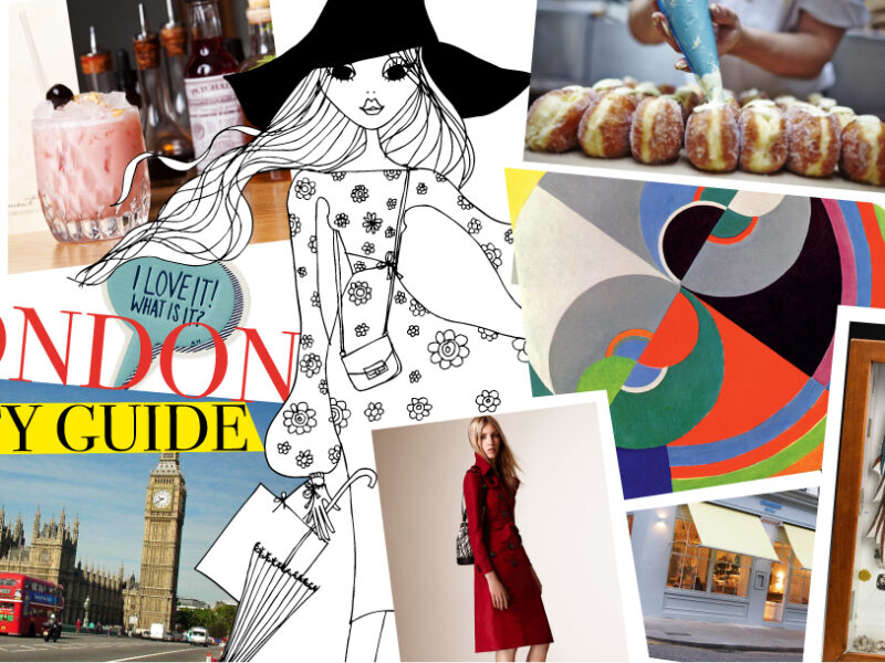 IRMA Travel Guide London
