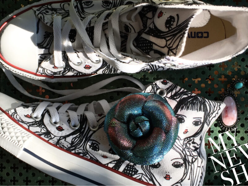 My new shoe