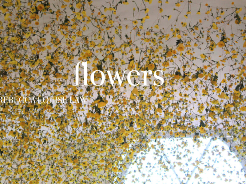 Blooming talent: Flower artist Rebecca Louise Law