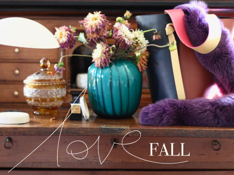 The Fall Feel Good Guide