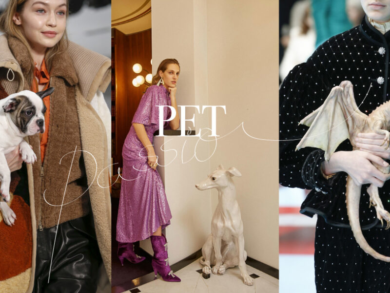 Puppies & other animals as the latest fashion marketing tool