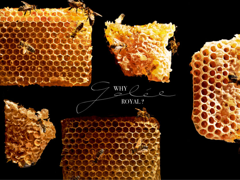 Why I use Gelée Royale on a daily basis. MATRICELL makes a very good one. Yes, I am a fan