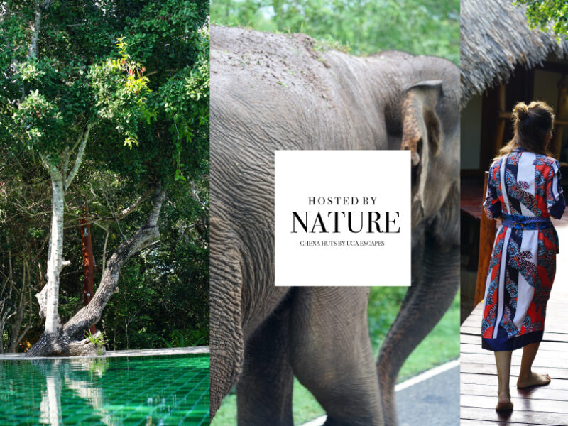 Reconnect to nature at Chena Huts in Sri Lanka