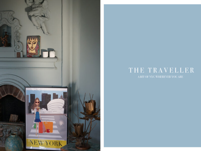 Travel the World with IRMA