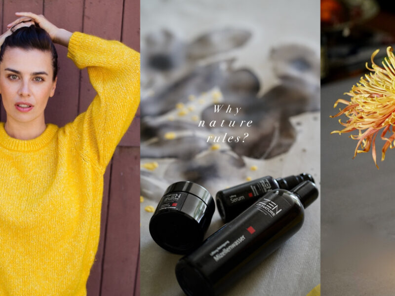 Think out of the box: natural beauty by ZEN OF NATURE