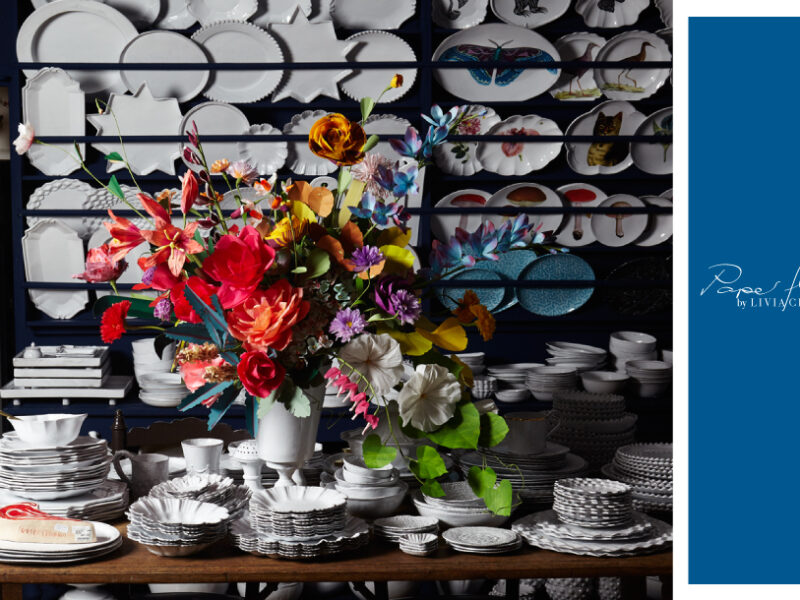 Livia Cetti, the flower translator