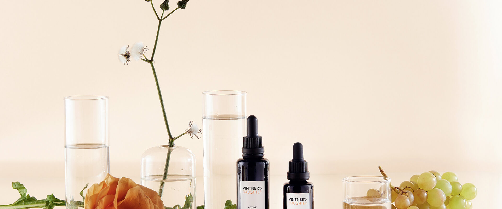 The Vintner’s daughter and her botanical elixir
