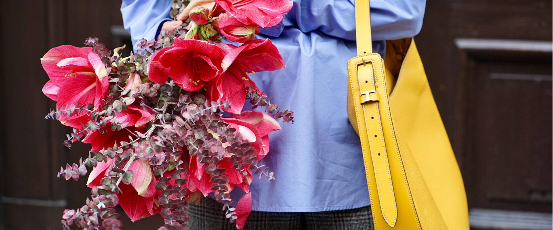 The TOD’S gift guide makes a #pawfectholiday