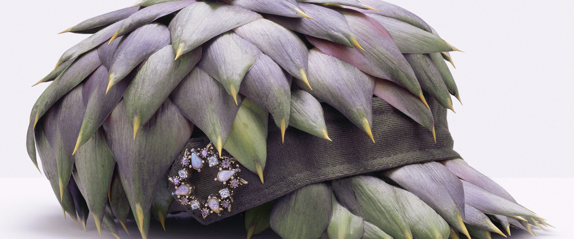 A matter of Taste. Food in Fashion by Fulvio Bonavia