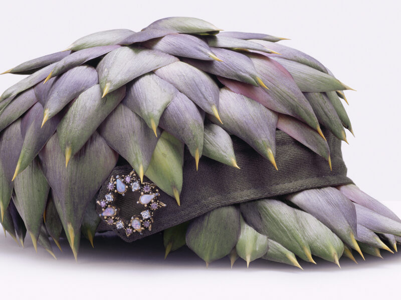 A matter of Taste. Food in Fashion by Fulvio Bonavia