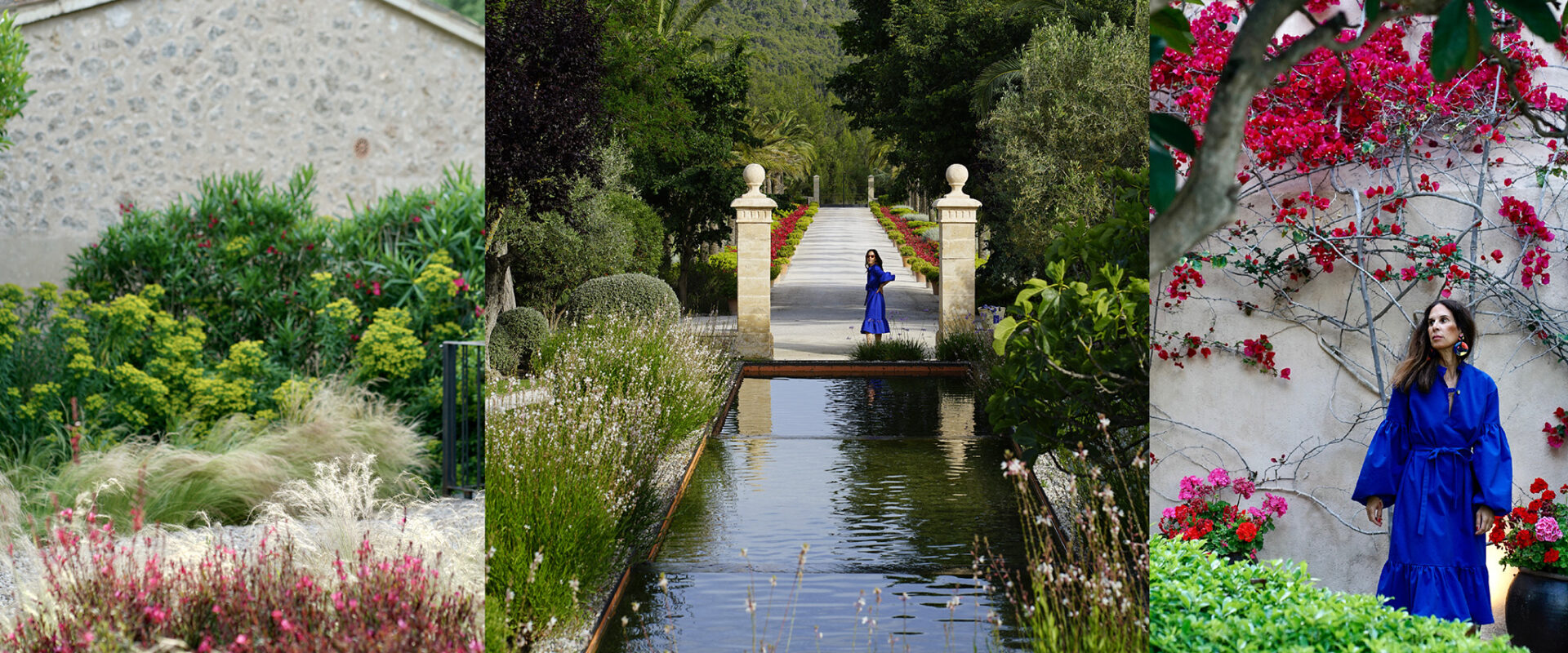 A paradise garden