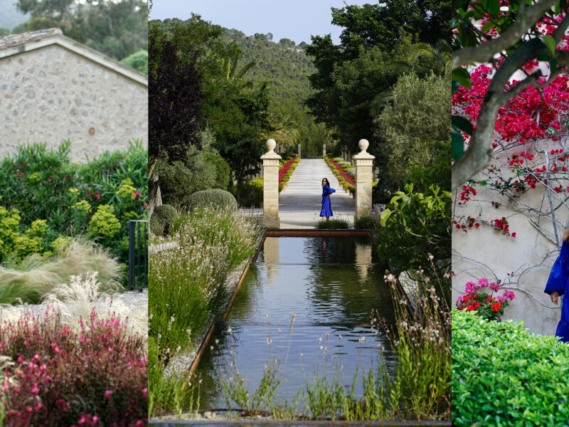 A paradise garden