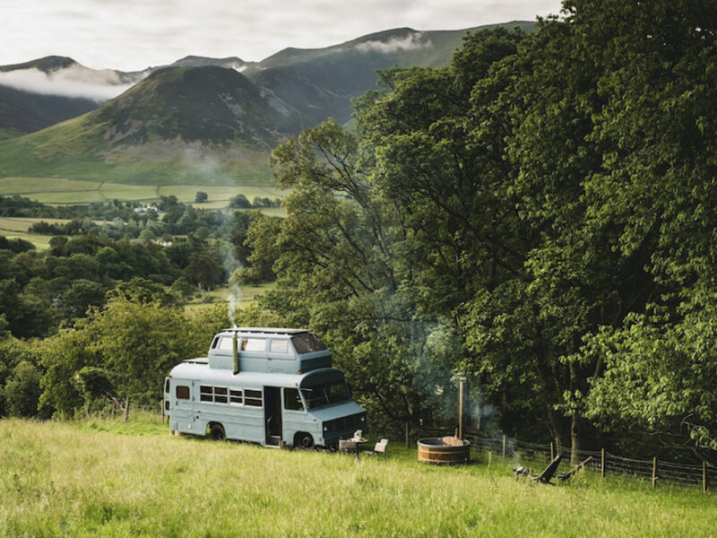 Stay wild & glamp