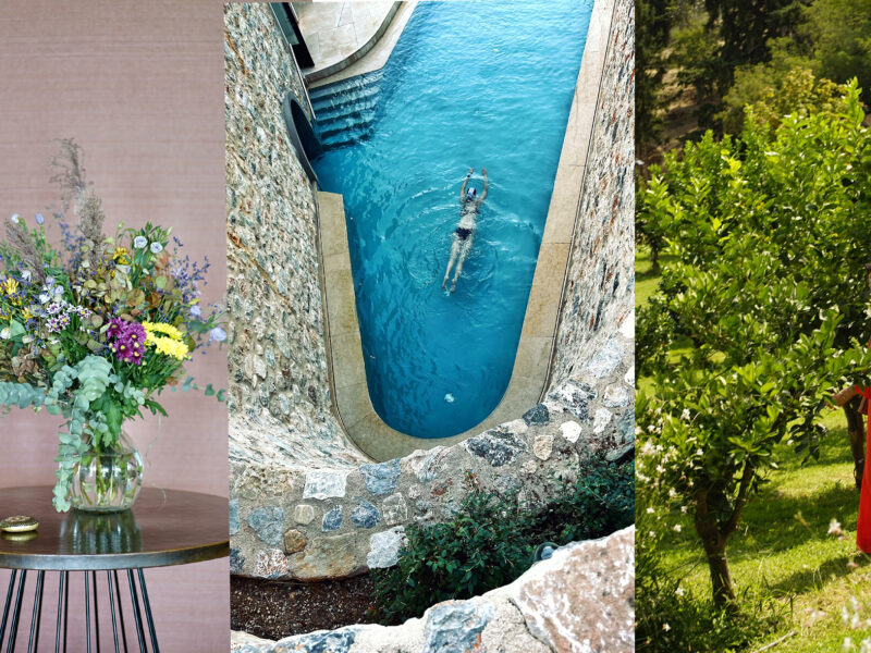 EUPHORIA. The holistic retreat in Greece