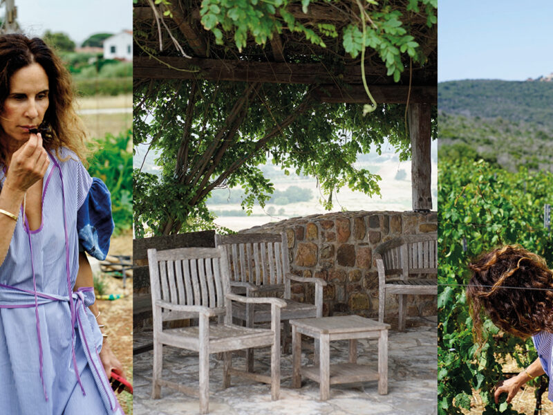 Monteverro. The harmony of nature and wine making