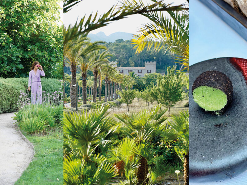 Castell Son Claret – Tranquillity & Art