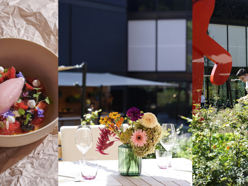 BLOOMS: Healthy deliciousness beyond sustainability