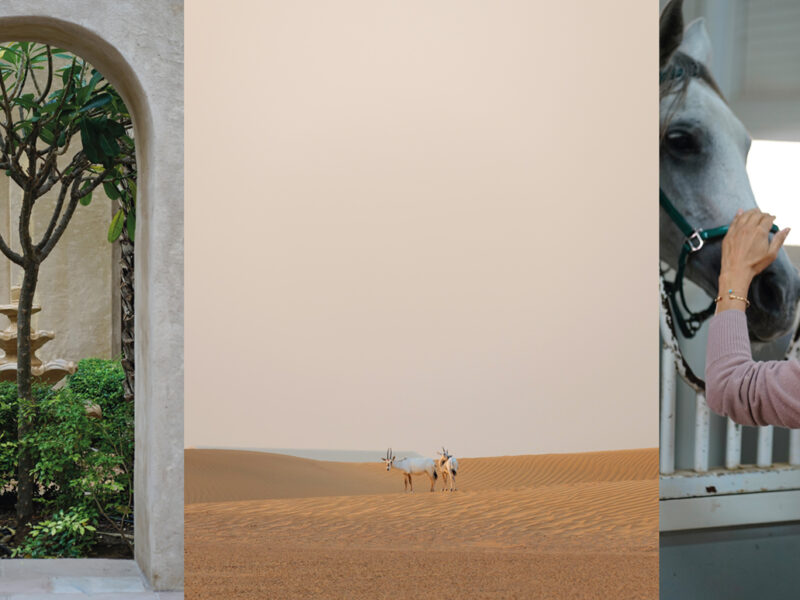 Arabian Sands – Bab Al Shams