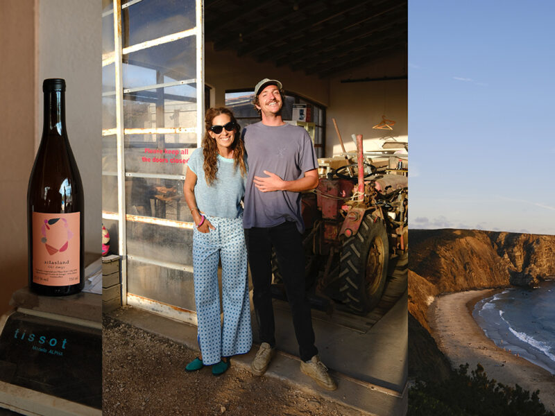 Atlas Land – The art of natural winemaking