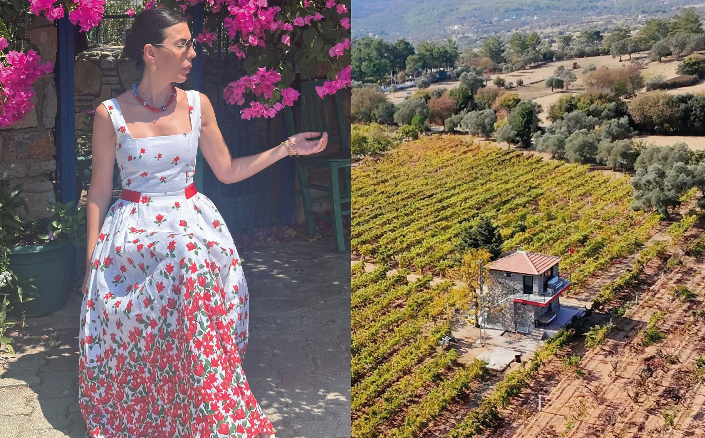 Garova Vineyards