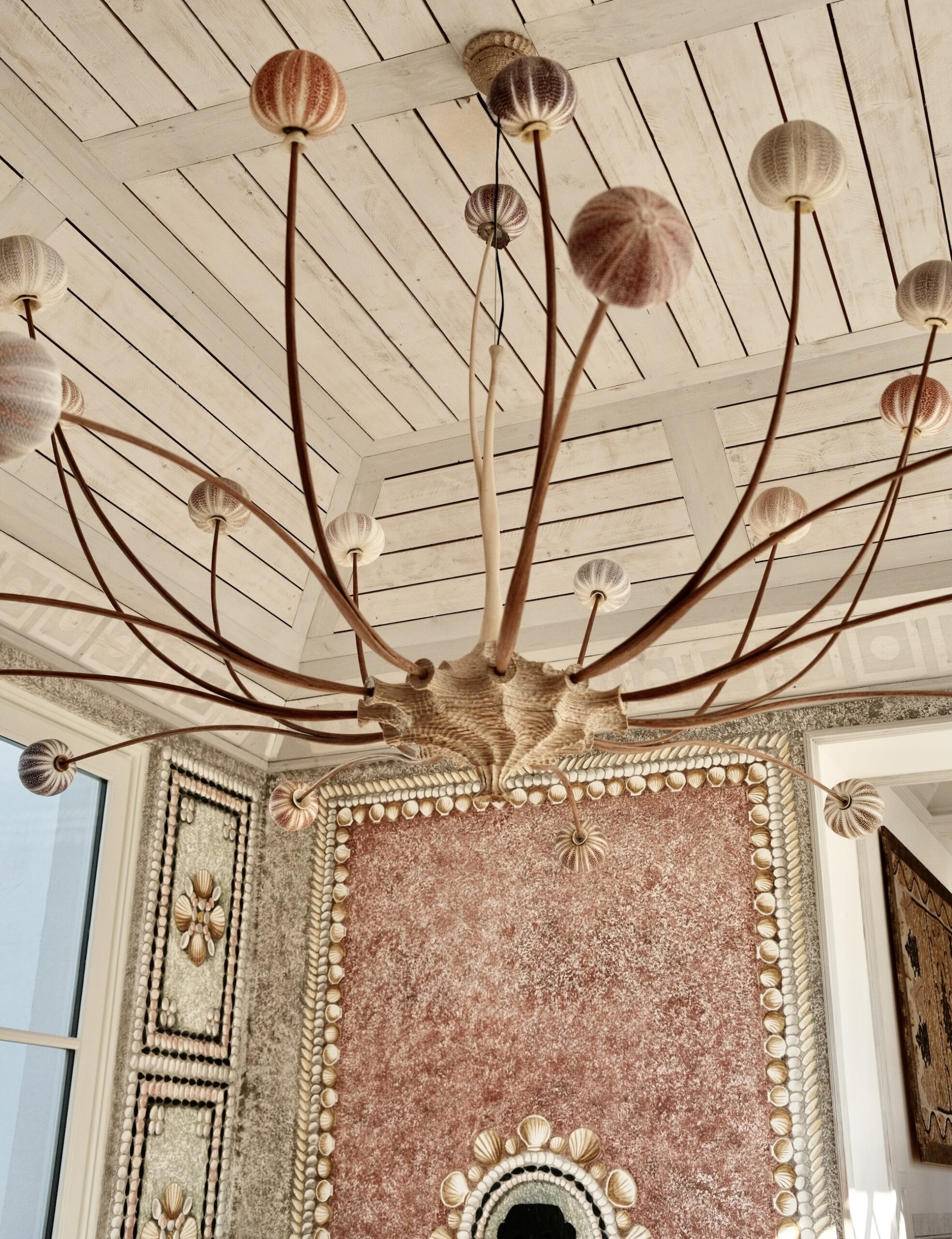 Sea urchin shell chandelier hanging from a wood ceiling at Vermelho