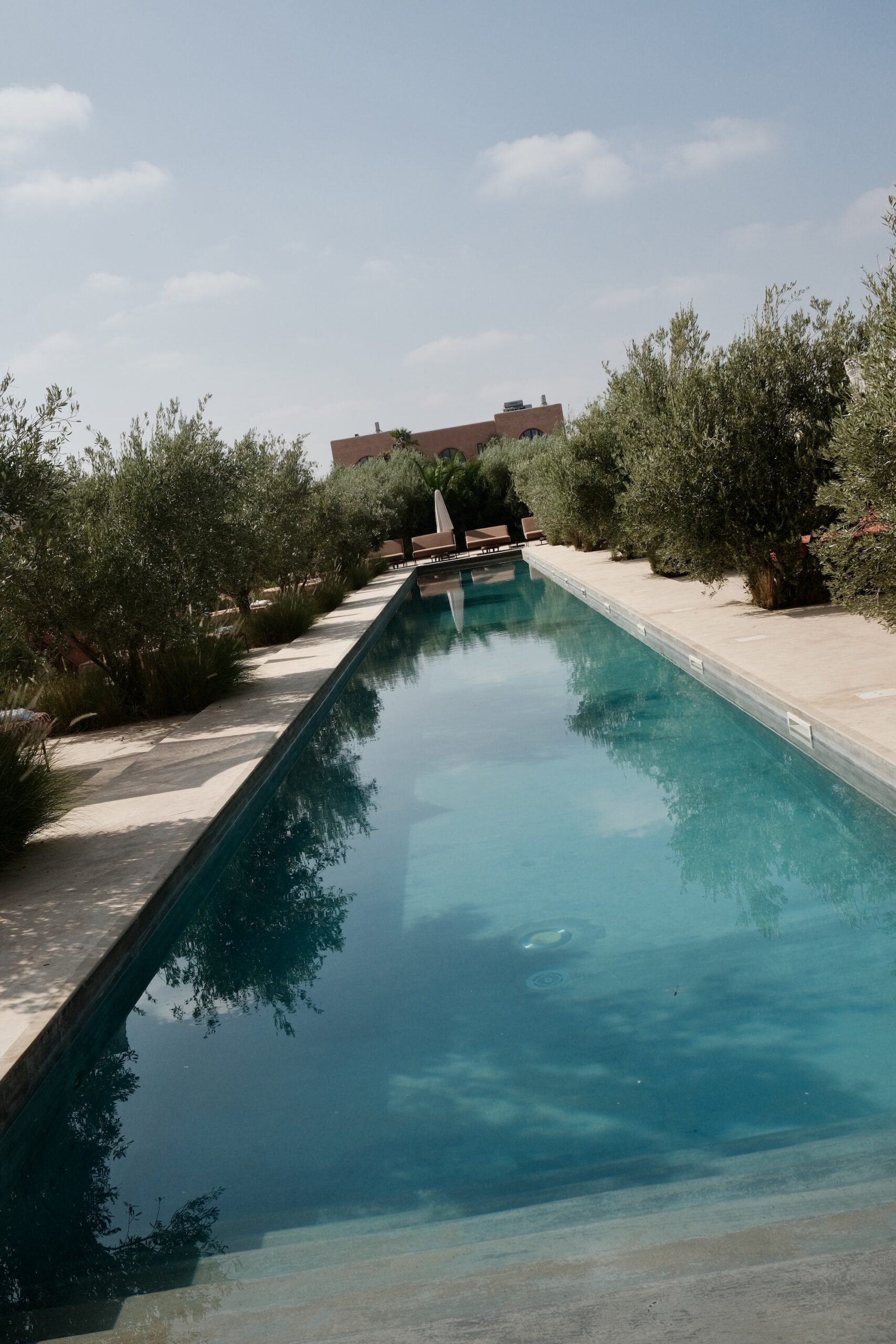 50 metre lap pool lined with olive trees at Farasha Farmhouse