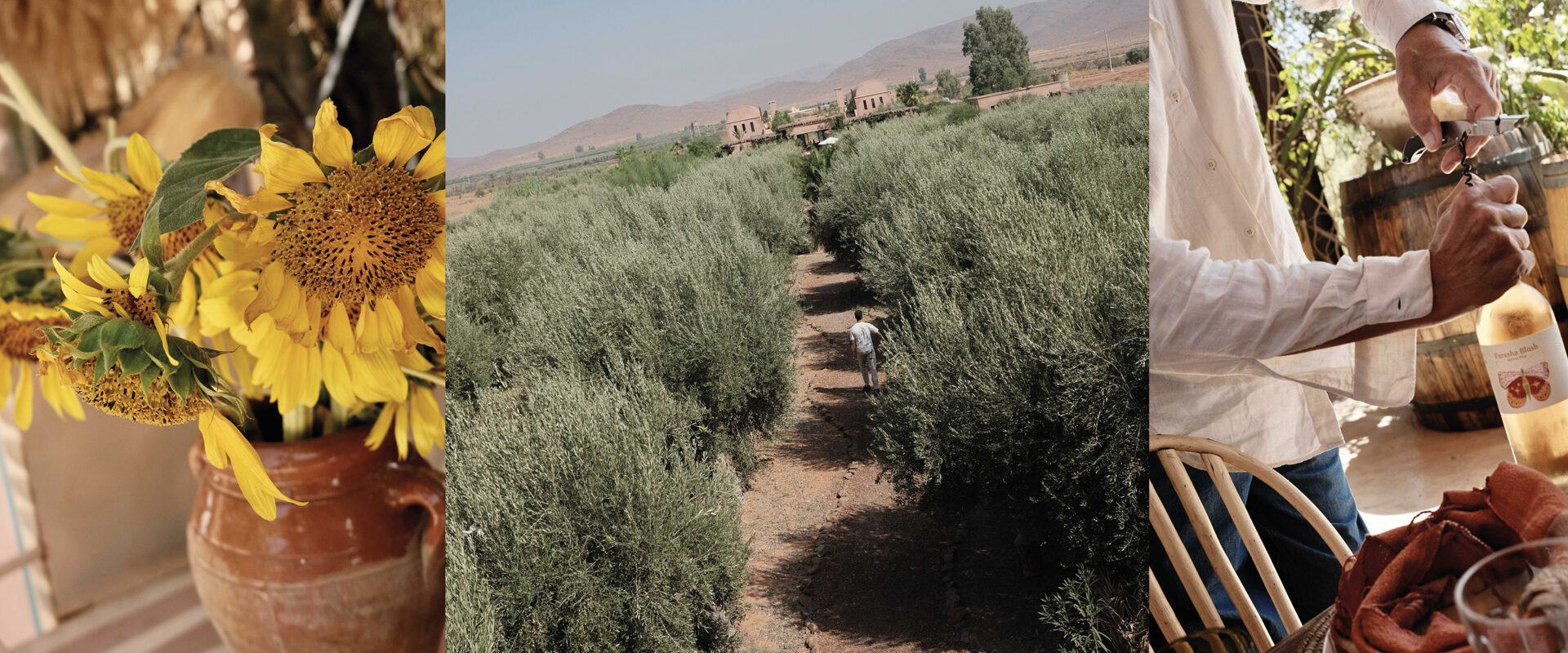 Sundays at Farasha Farmhouse near Marrakesh