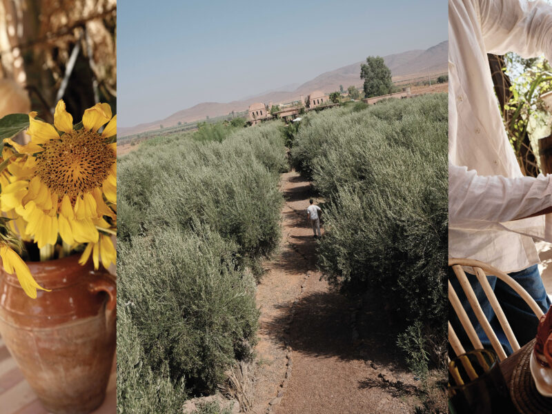 Sundays at Farasha Farmhouse near Marrakesh